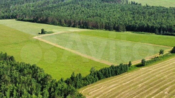 Участок 50 га (СНТ, ДНП)