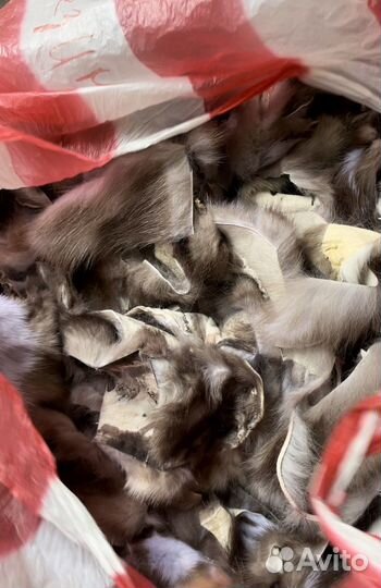 Лоскут каменки