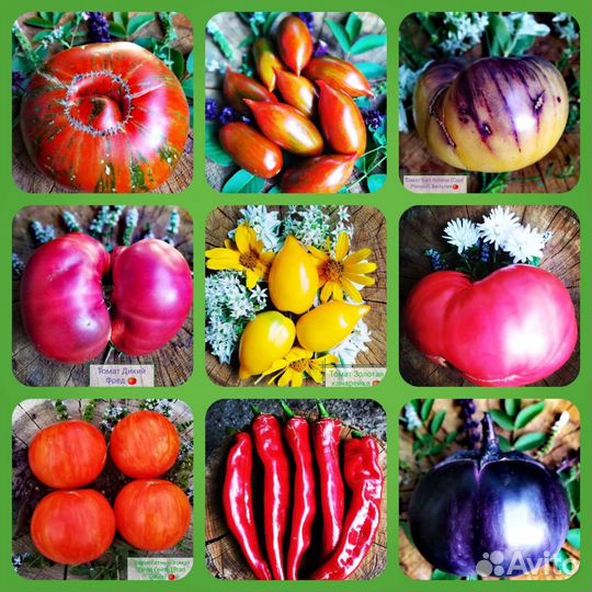 Семена дыни Тыдагункуайха и других овощей почтой