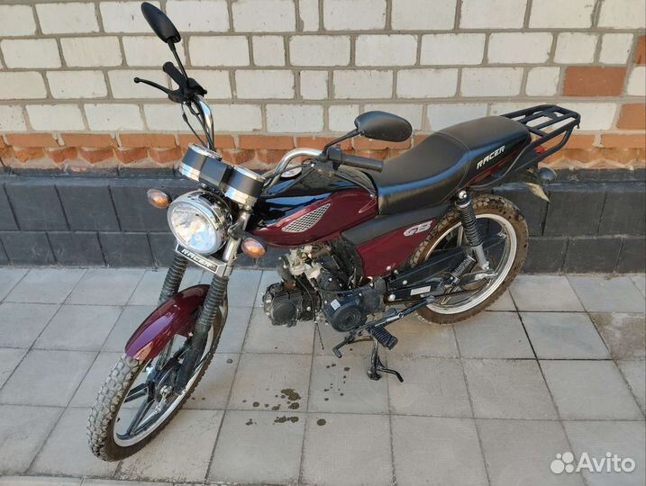 Raser alpha rs 50