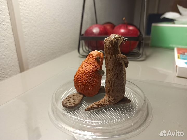 Бобр и выдра