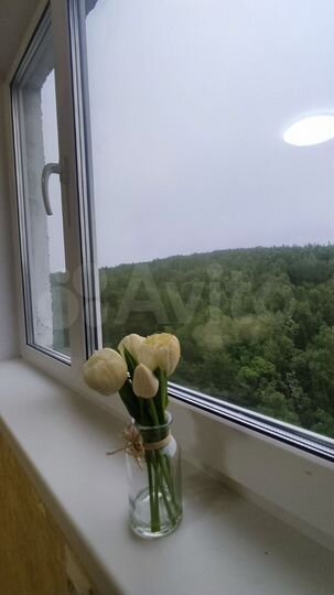 3-к. квартира, 63,2 м², 8/9 эт.