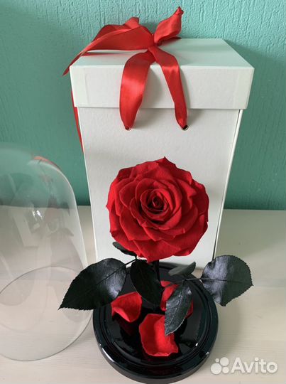 Вечная роза в колбе