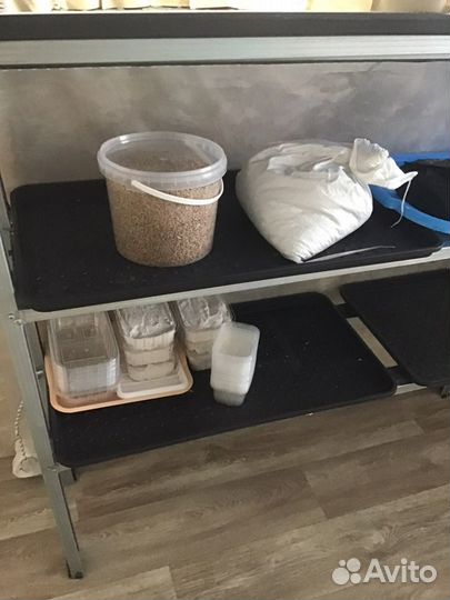 Стартовый набор миниферма микрозелени