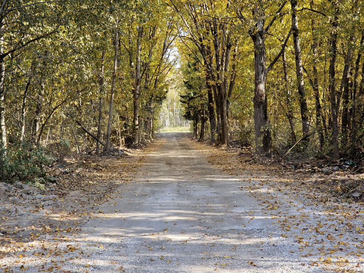 Участок 10,5 сот. (ИЖС)