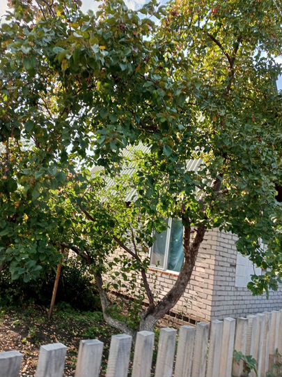 Дача 36 м² на участке 10 сот.