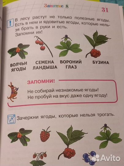 Развивающие пособия для детей