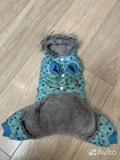 Одежда для собак