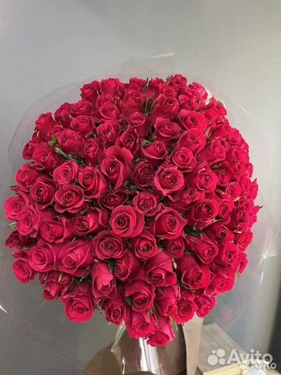 Цветы Красная Роза 41 51 101 премиум Розы
