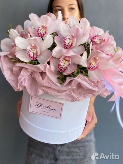 Бордовые орхидеи в Корзине