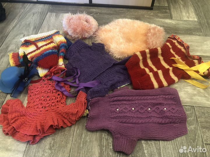 Одежда для маленьких собак