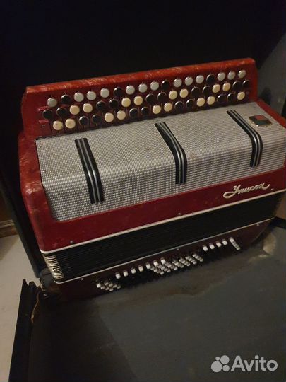 Баян унисон