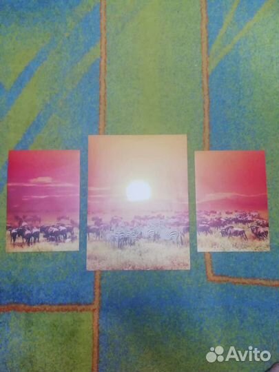 Набор постеров животные африкиа
