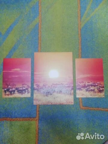 Набор постеров животные африкиа