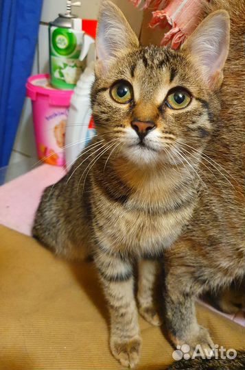 Мишелька уже не верит, что ее мама найдётся