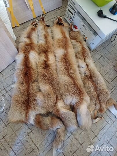 Шкуры лисы