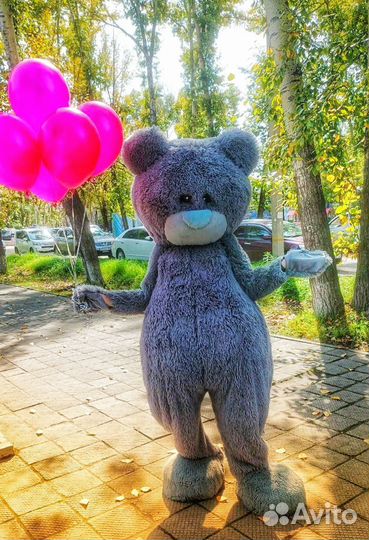 Ростовой костюм мишки