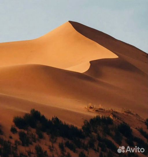 Поездки по Дагестану