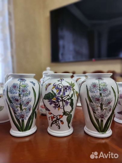 Portmeirion botanic garden