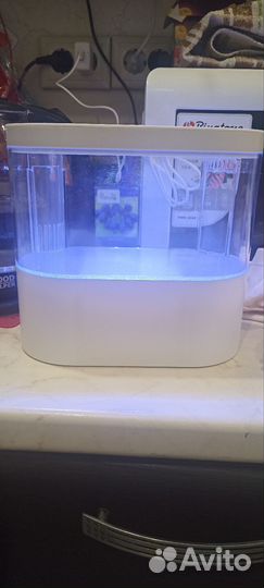 Аквариум экологический 2 литра