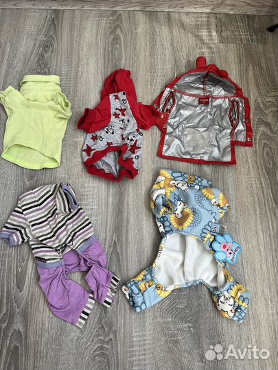 Одежда для мелких пород собак