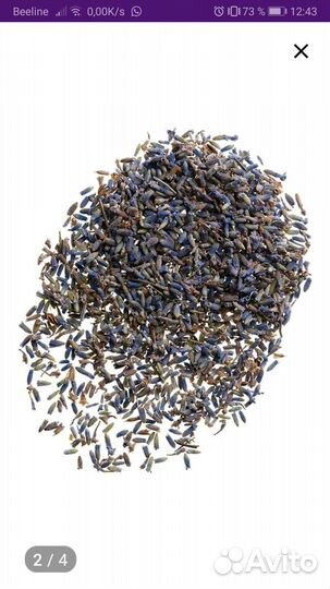 Лаванда цветки россыпью