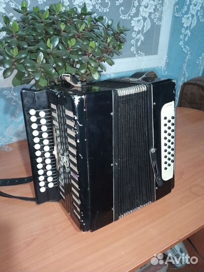 Гармонь тульская ля-мажор
