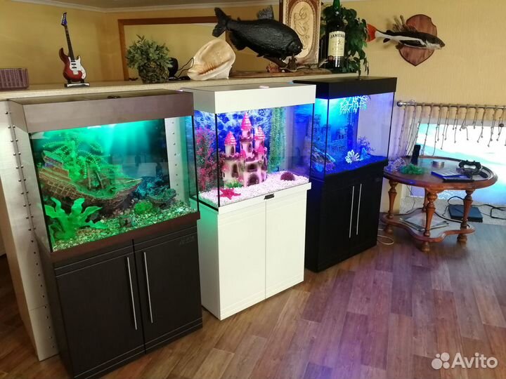 Аквариумы на тумбе с крышкой