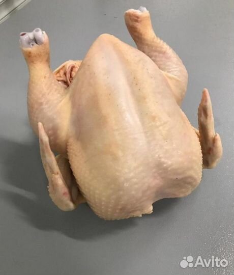 Мясо домашнего бройлера