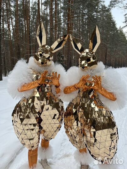 Шоу зеркальных зайцев