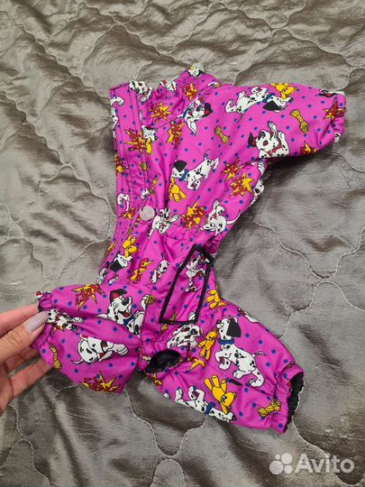 Одежда для собак