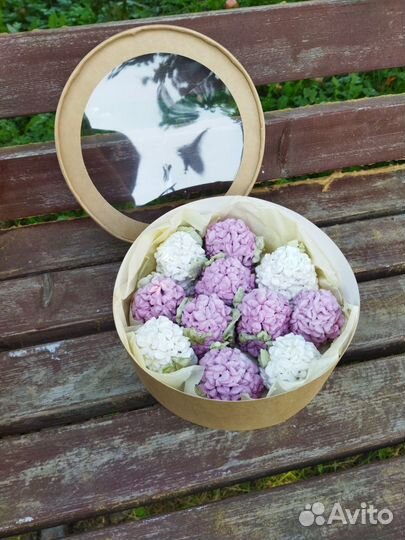 Сирень круглый год