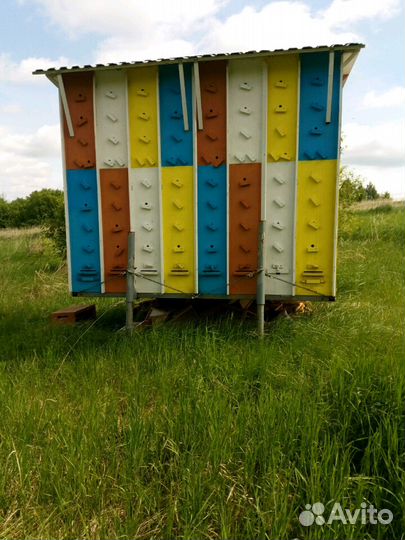 Пчелопавильон Ярик32