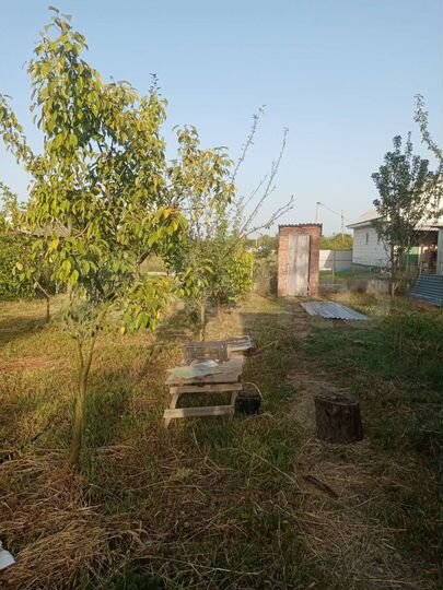 Дача 20 м² на участке 5 сот.