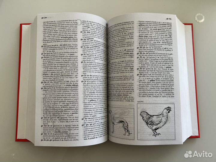 Испанский словарь Alcala de Henares