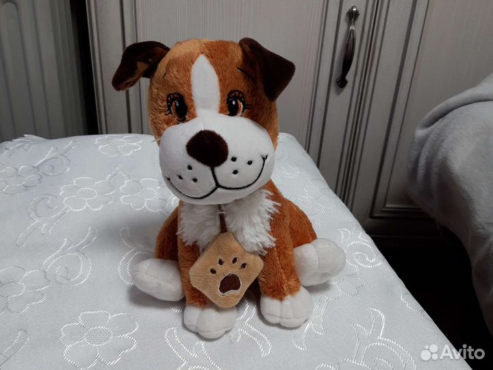 Собака, Щенок