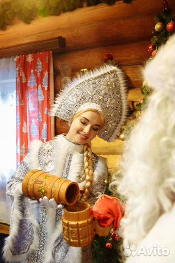 Дед Мороз и Снегурочка VIP