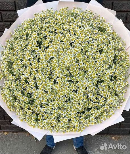 Ромашки Пионы Розы Доставка