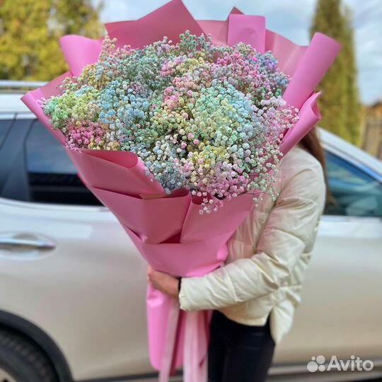 Гипсофила Разных Цветов. Доставка/Самовывоз