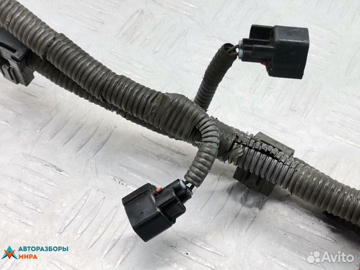 Проводка Lexus GS 3 2007 8212630010