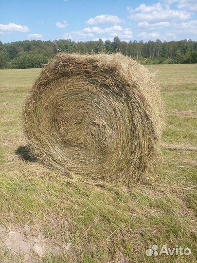 Сено в рулонах