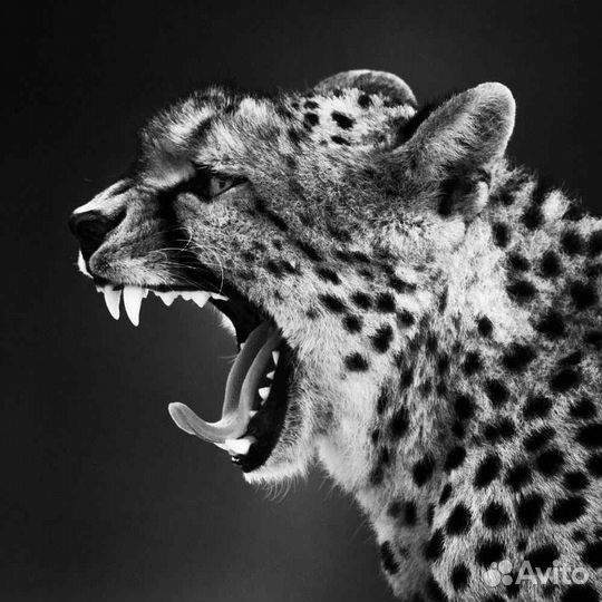 Панно на алюминии 120х120 ART LB-007 Художник Laur