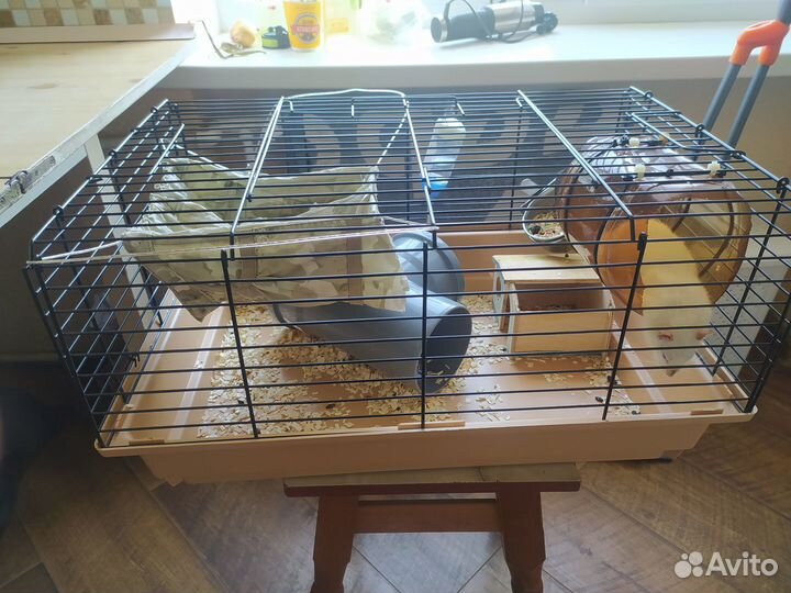 Клетка для грызунов