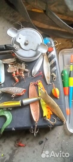 Для летней рыбалки