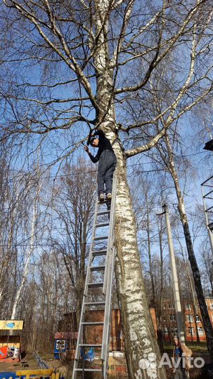 Грузчики, разнорабочие
