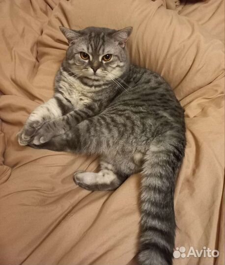 Праздники и мероприятия