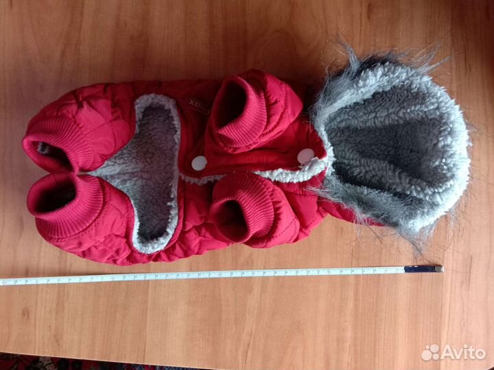 Одежда для маленькой собачки