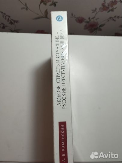 «Любовь страсть и отчаяние» А. Б. Каменский