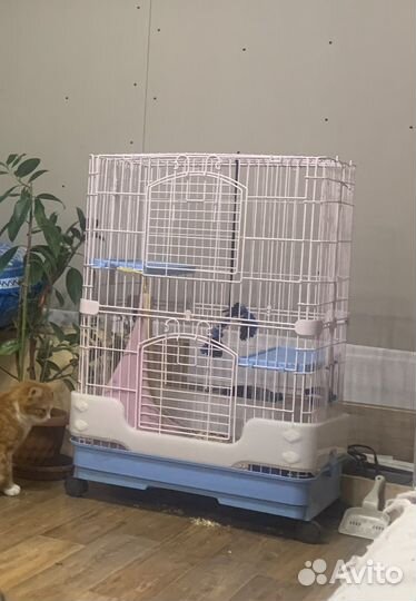 Хорек с клеткой