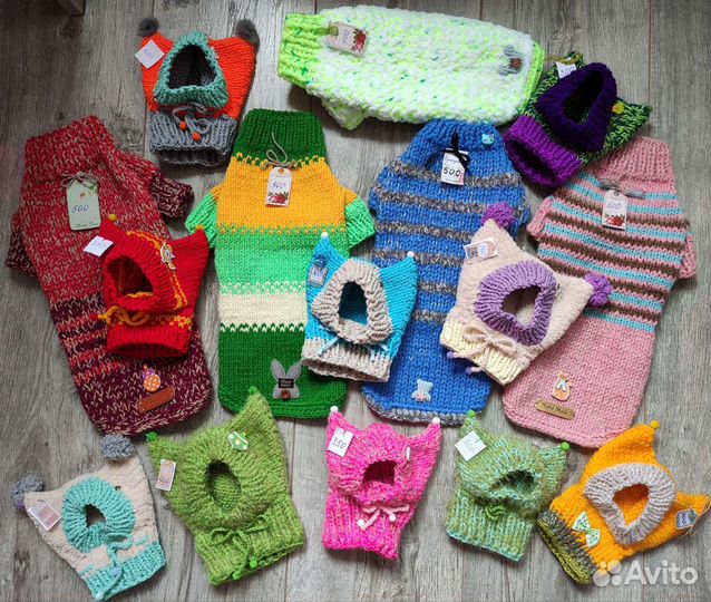 Одежда для животных